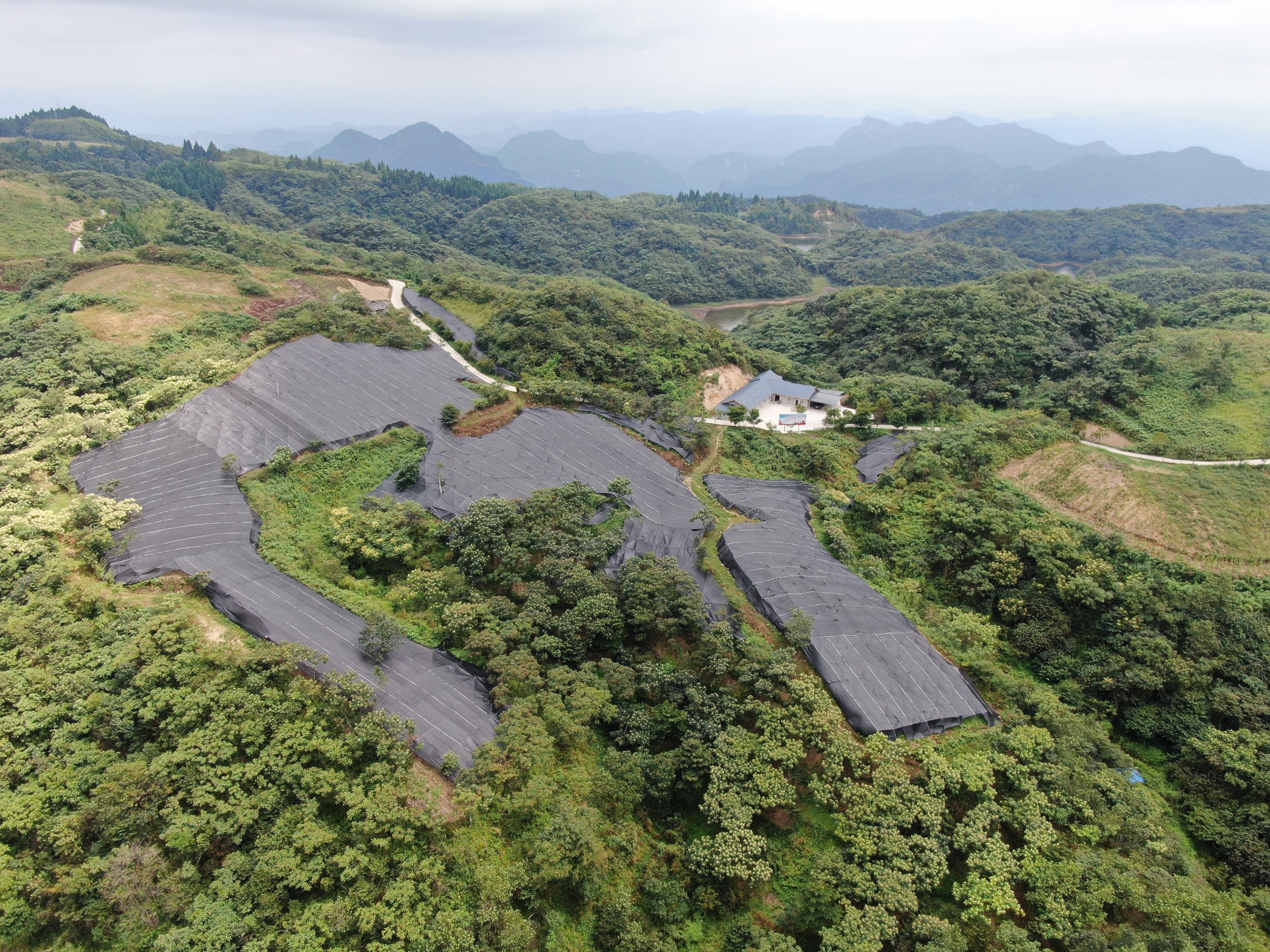 东山峰基地 东山峰基地