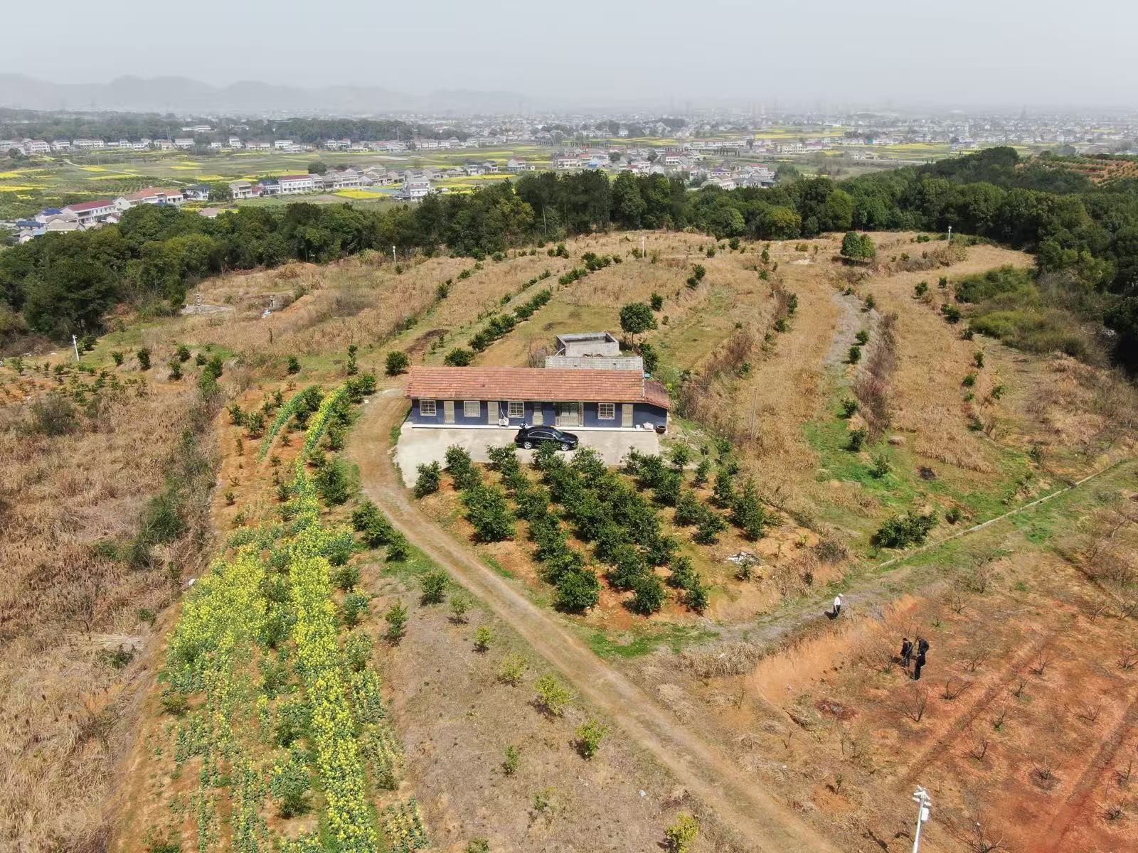 易市基地 易市基地